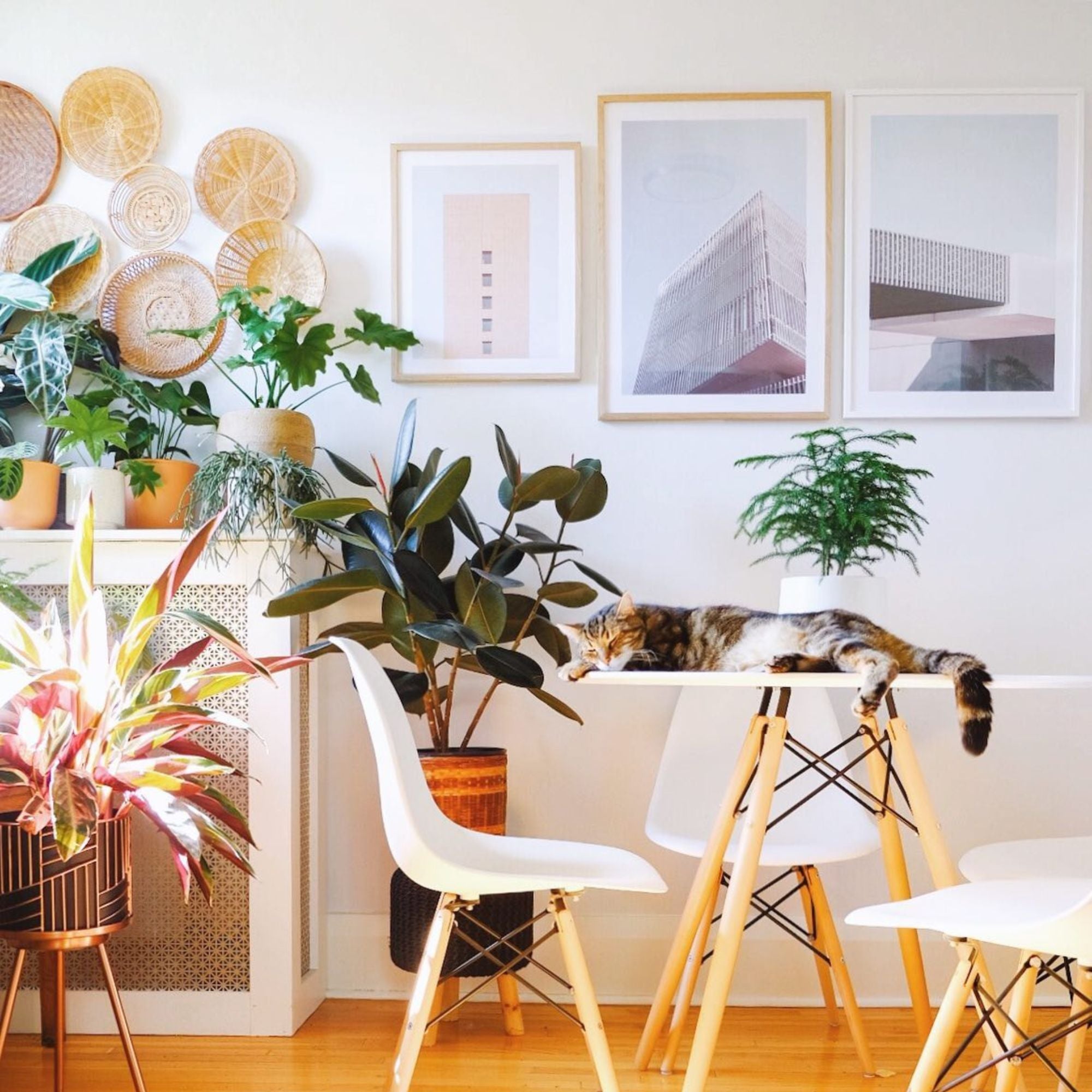 Velets 36" Ember Round Dining Table – White